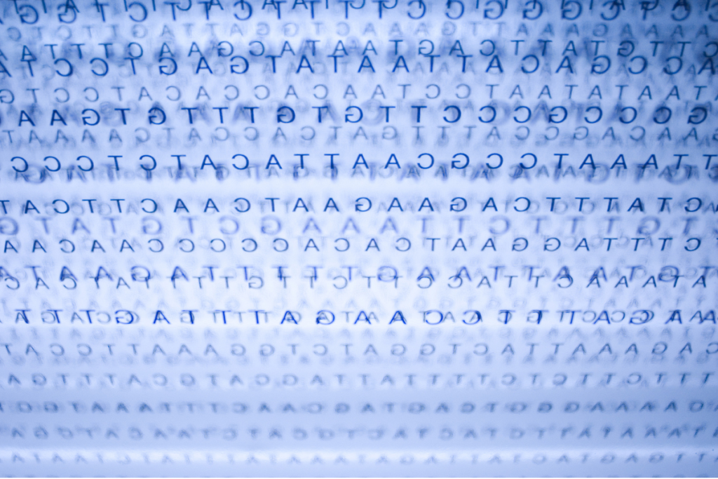 用日立超速离心机的5ml管从水稻叶片中提取基因组DNA